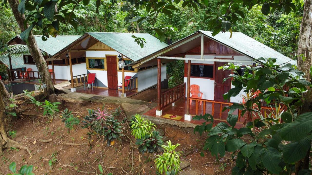 Corcovado Adventures Hostel Drake Bay Exterior photo