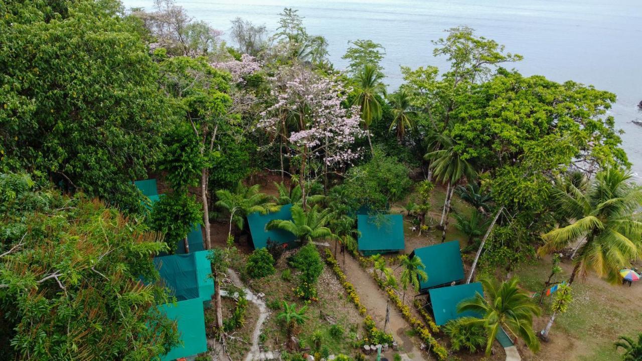 Corcovado Adventures Hostel Drake Bay Exterior photo