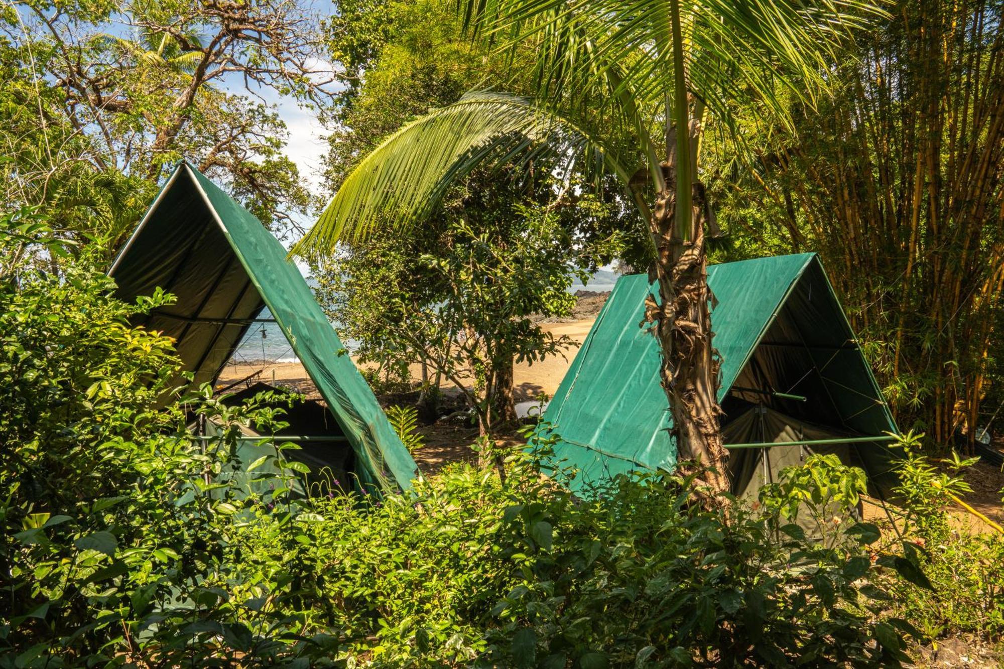 Corcovado Adventures Hostel Drake Bay Exterior photo