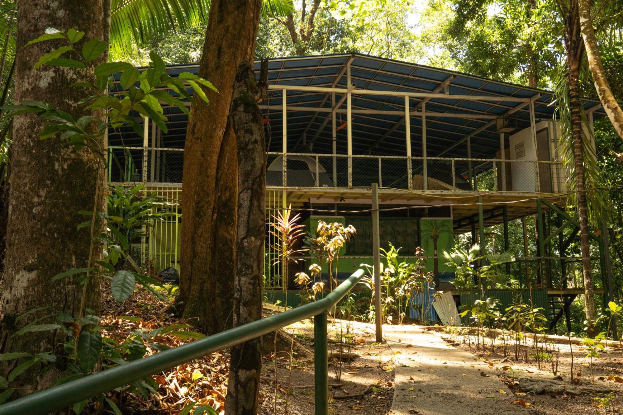Corcovado Adventures Hostel Drake Bay Exterior photo